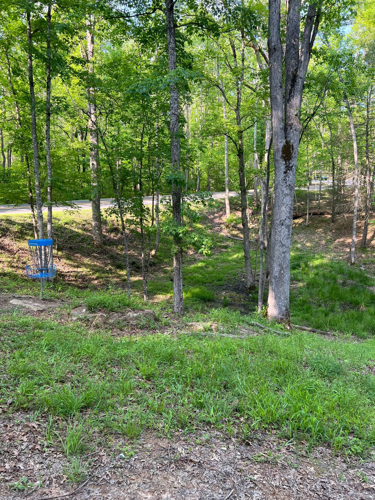 Hole 11 Green