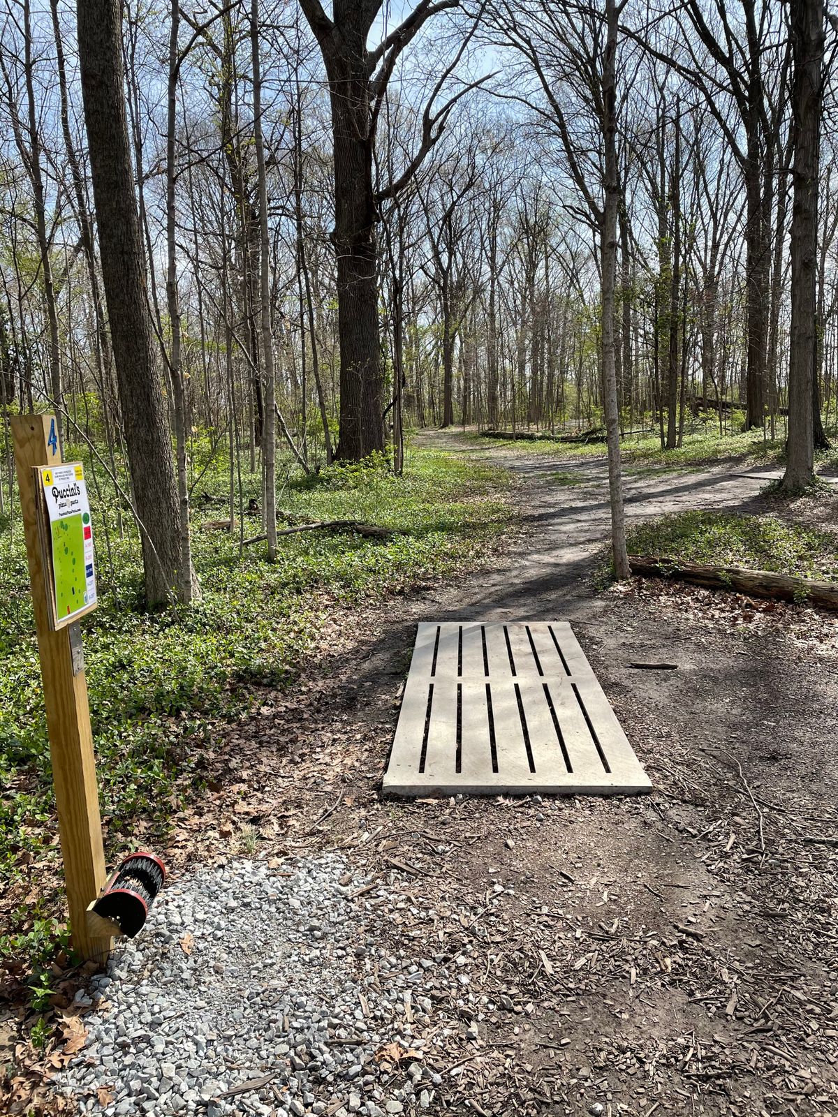 Hole 4