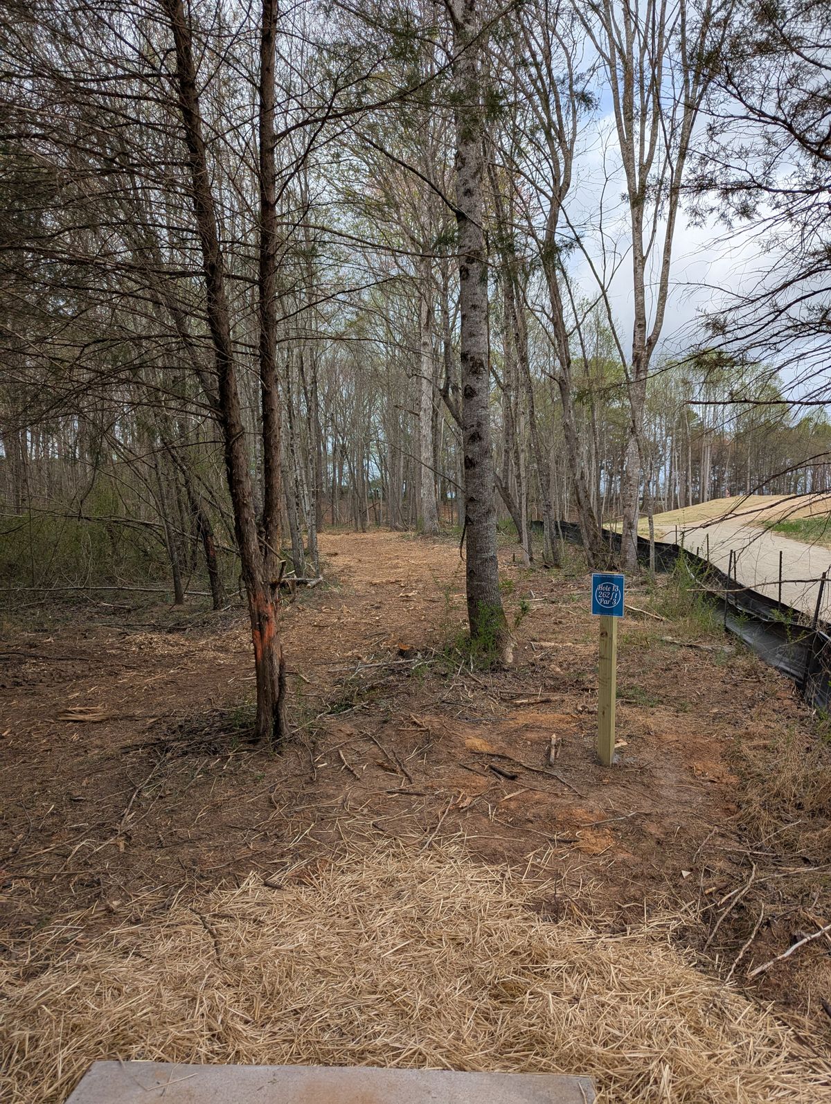 Hole 13