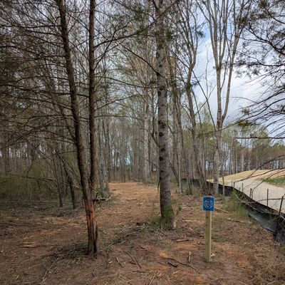 Hole 13