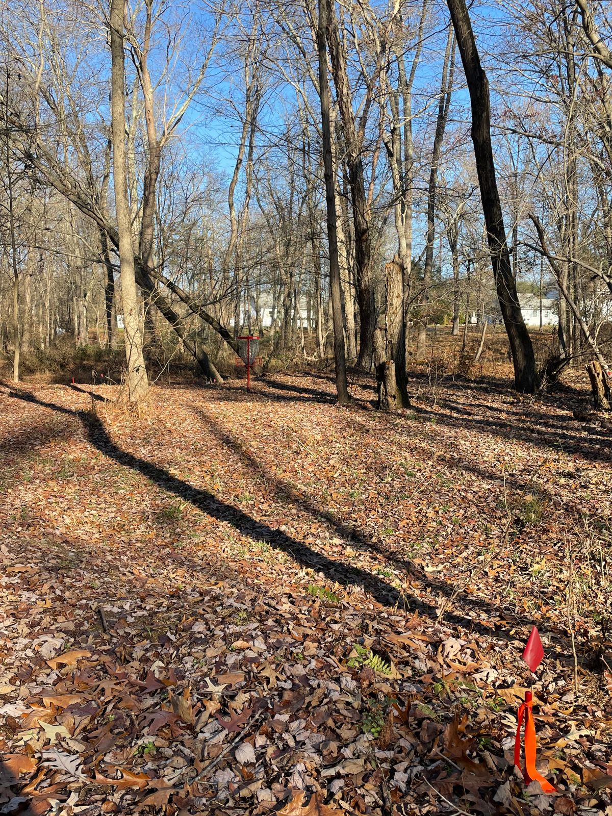 Hole 7 OB drop zone