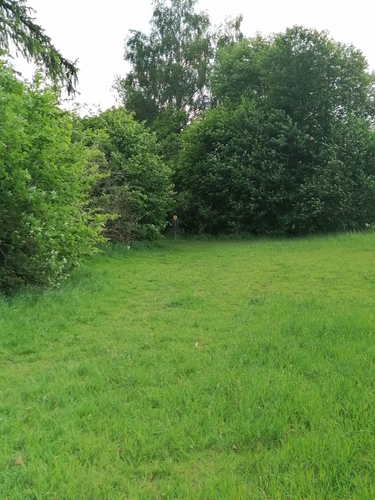 Sista halvan av dogleg-8:an