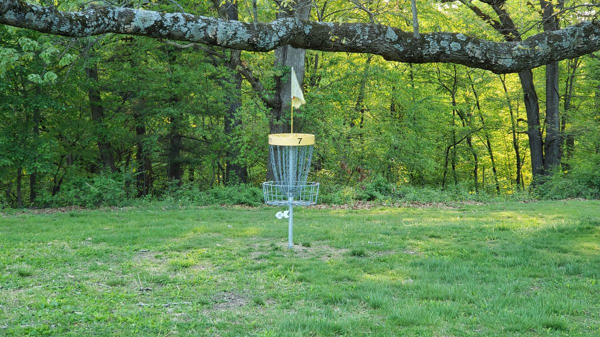 Hole 7 with guardian tree limb.