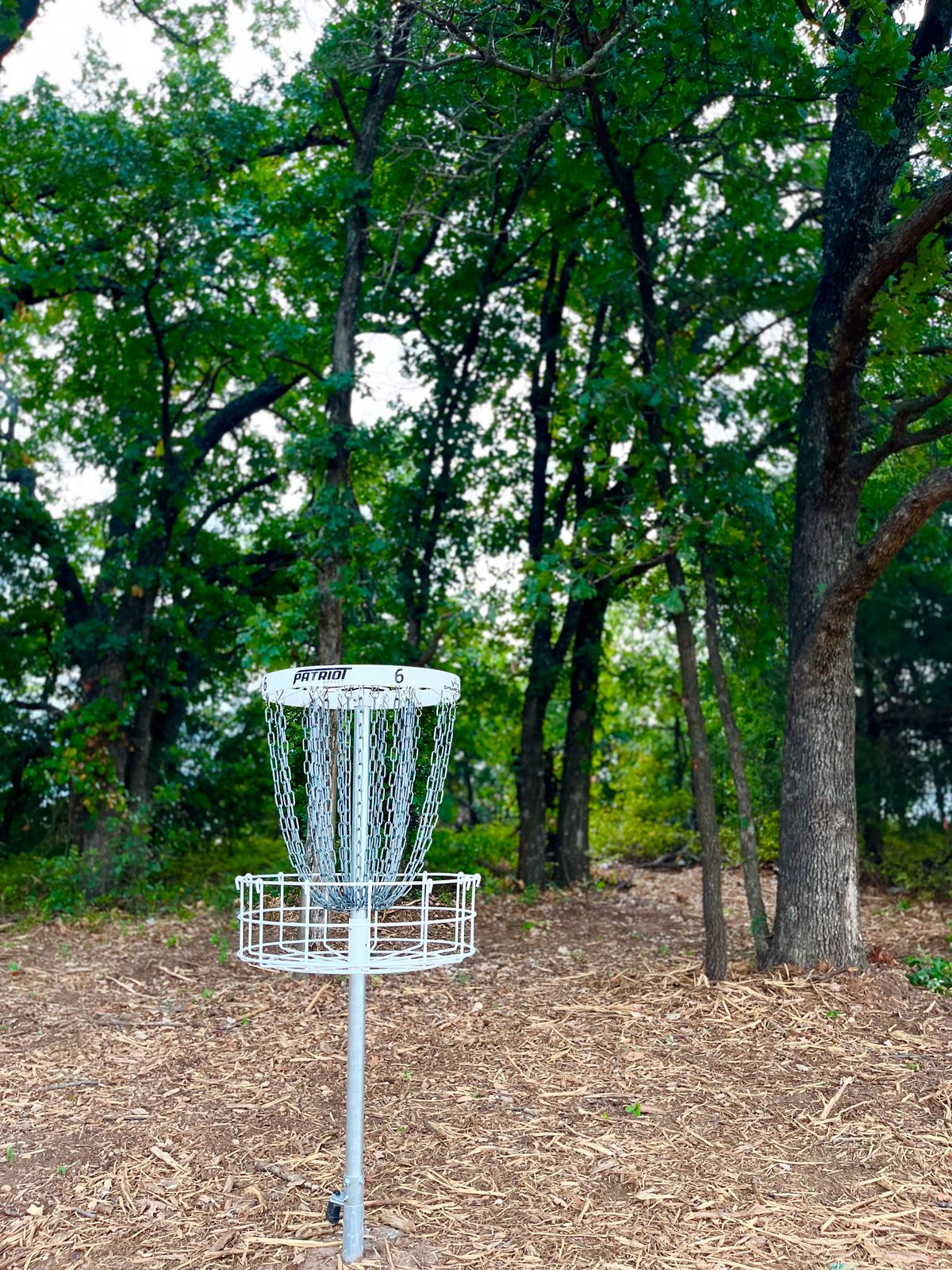 Hole 6 basket