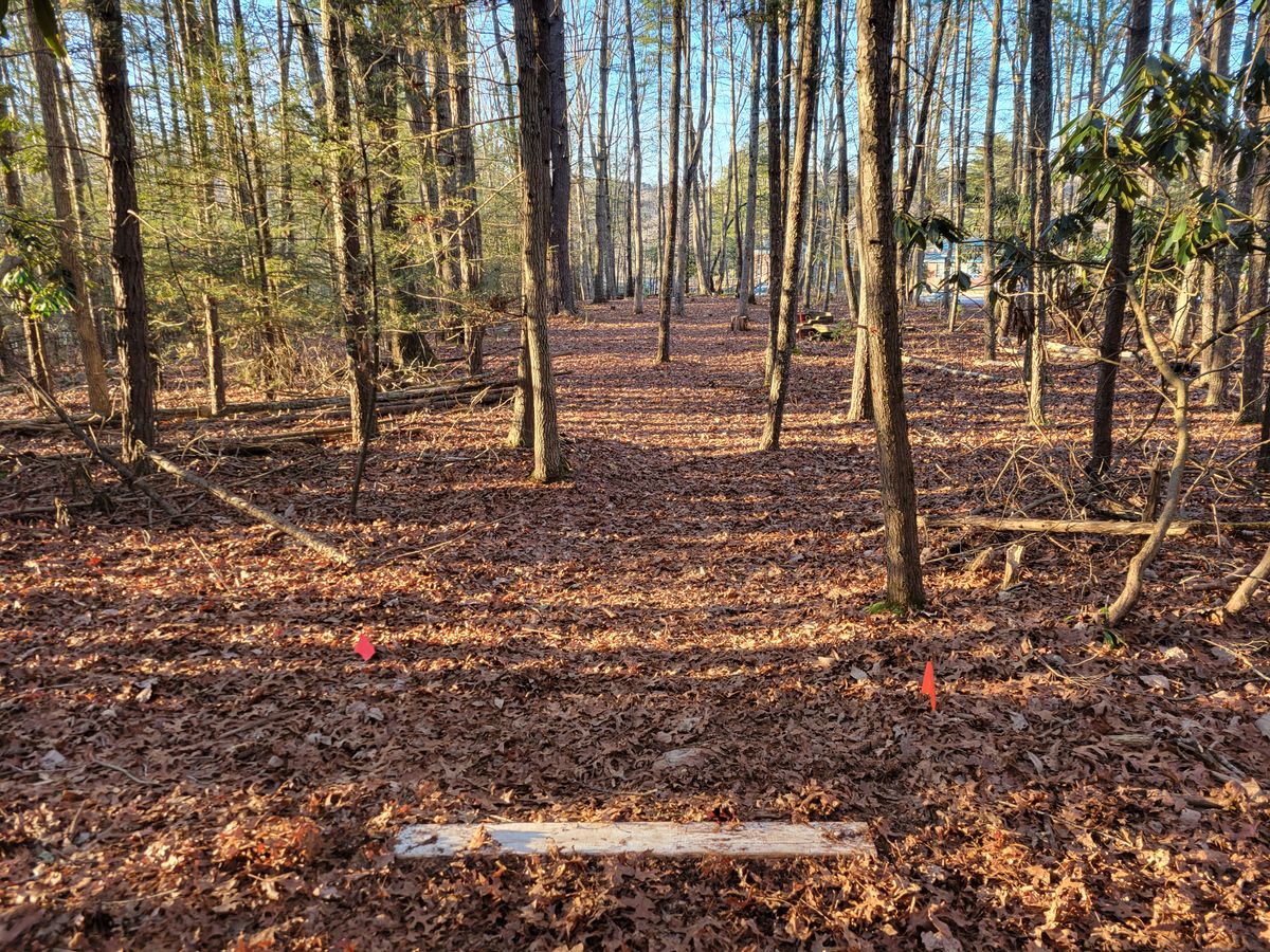 Hole 6 tee