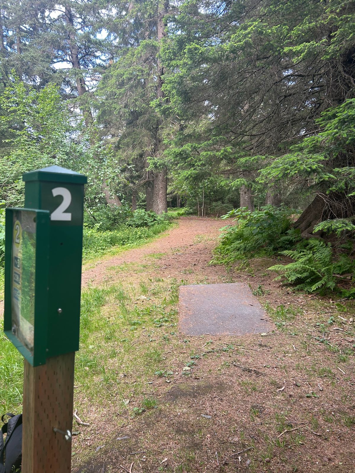 Hole 2 teepad and fairway view, a 200 ft hyzer