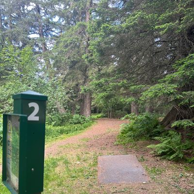 Hole 2 teepad and fairway view, a 200 ft hyzer