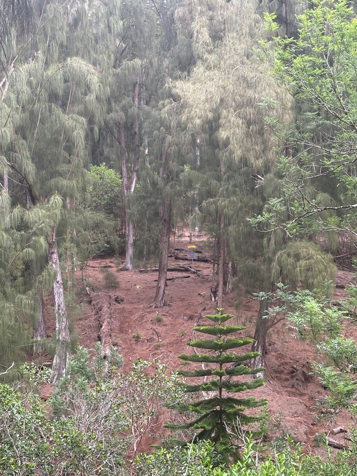 Hole 17