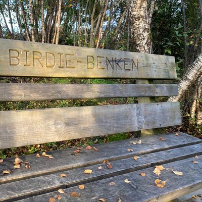 The birdie bench on tee #8