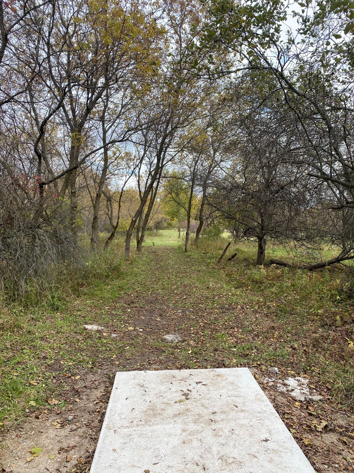 Hole 14 tee shot. Want to turn something over right. Basket far left