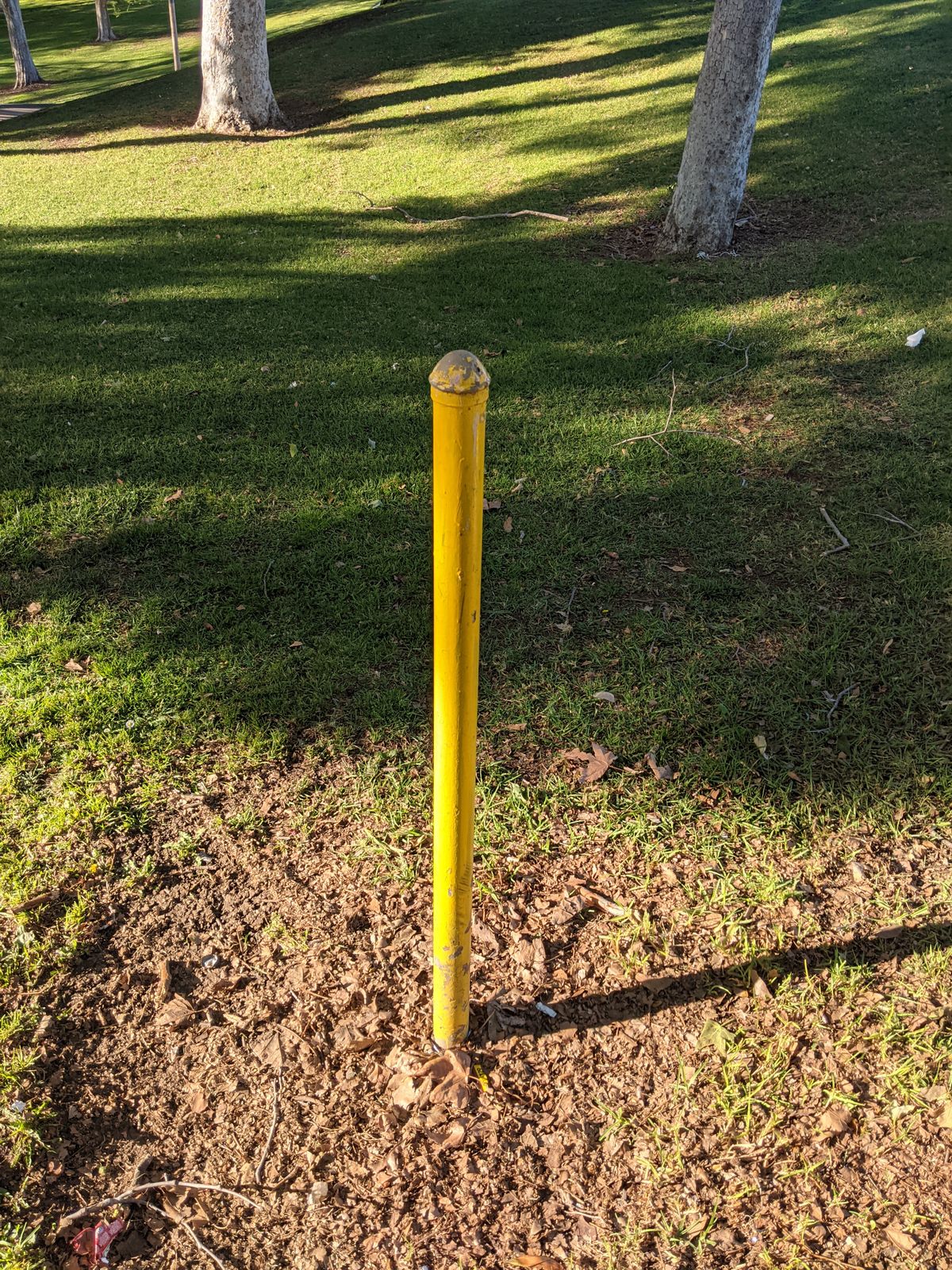 Steady Ed Original Pole Target, makes a great sound when you hit it. They're all over the park so try out different shots.
