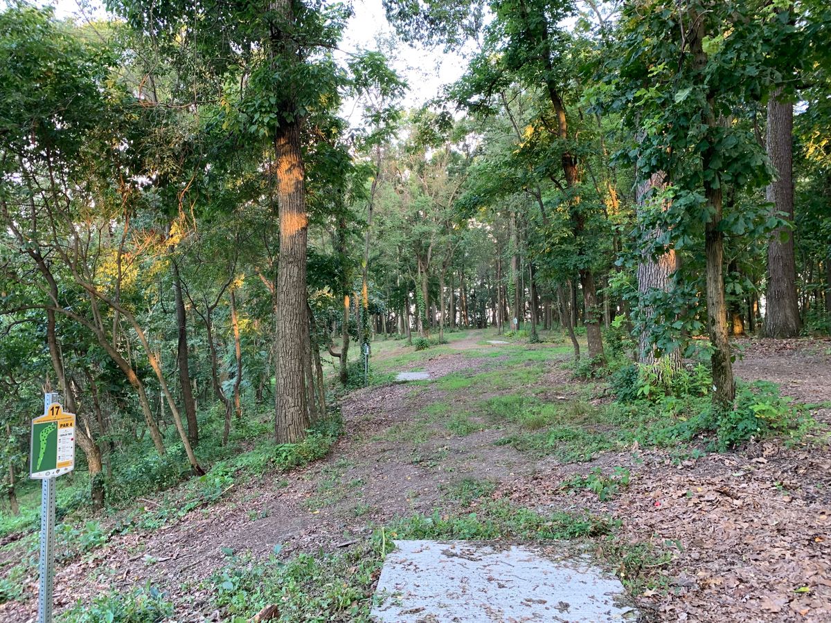 Hole 17 gold tee