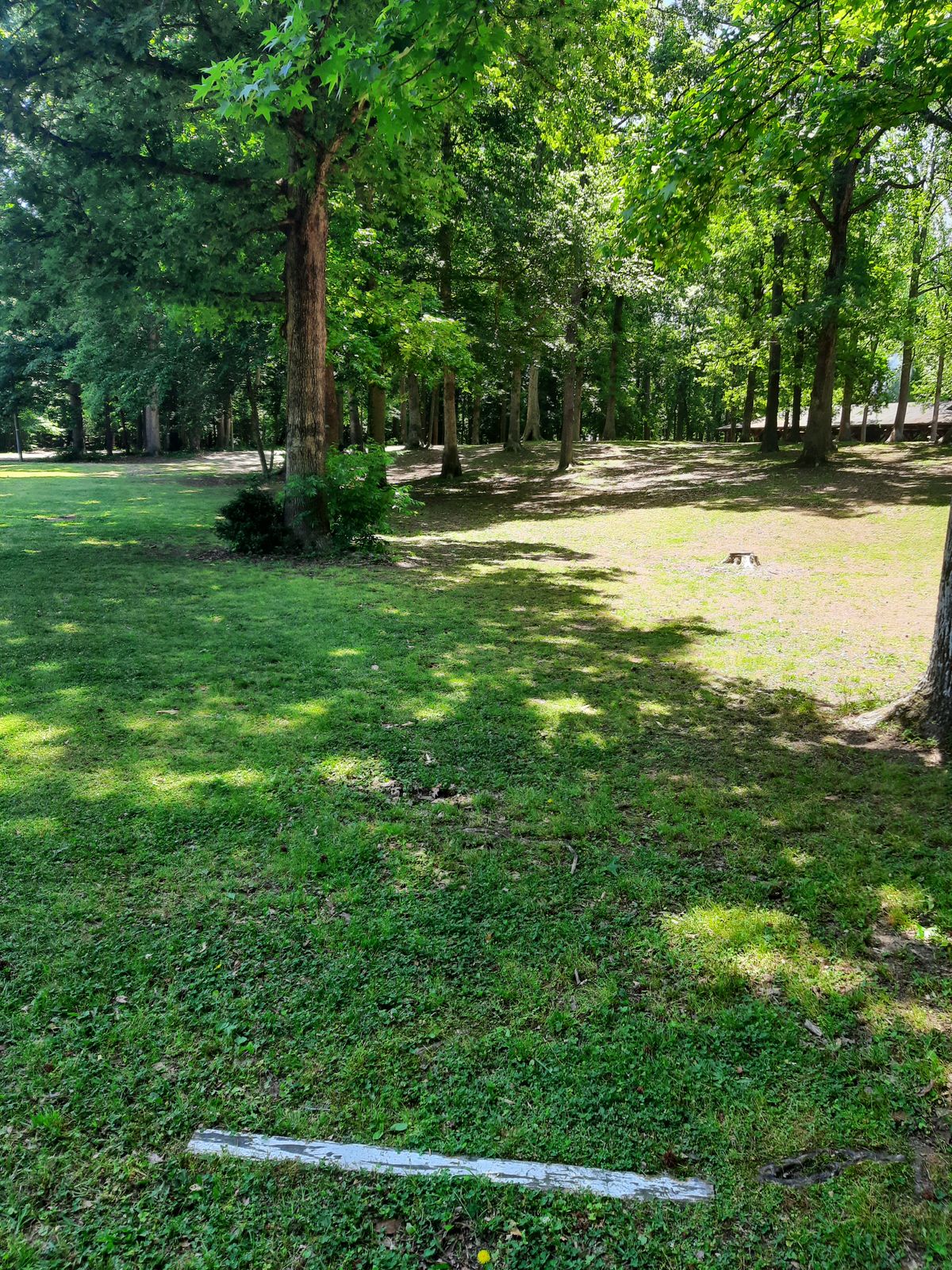 Hole 11 White Alt Tee