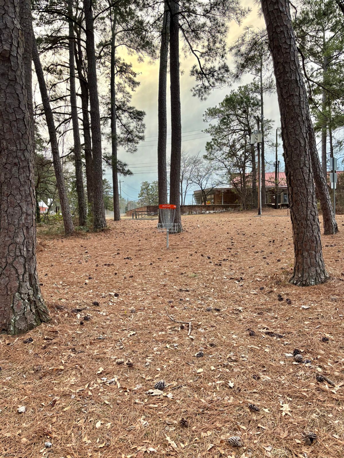 Hole 10 Basket