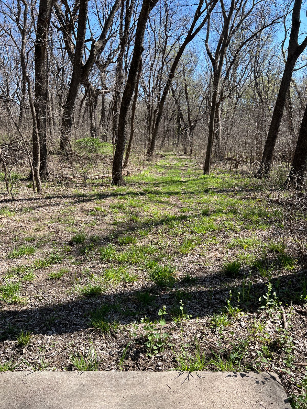 Hole 8
