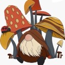 User avatar image