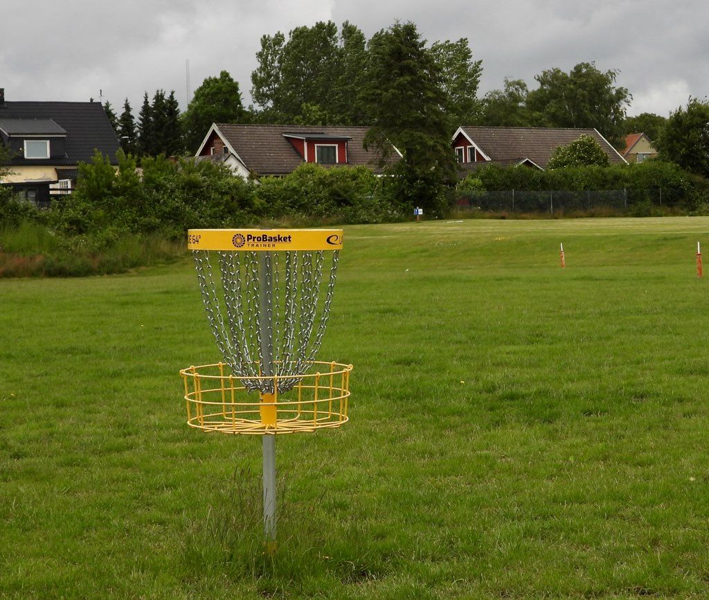 Från korg till tee.