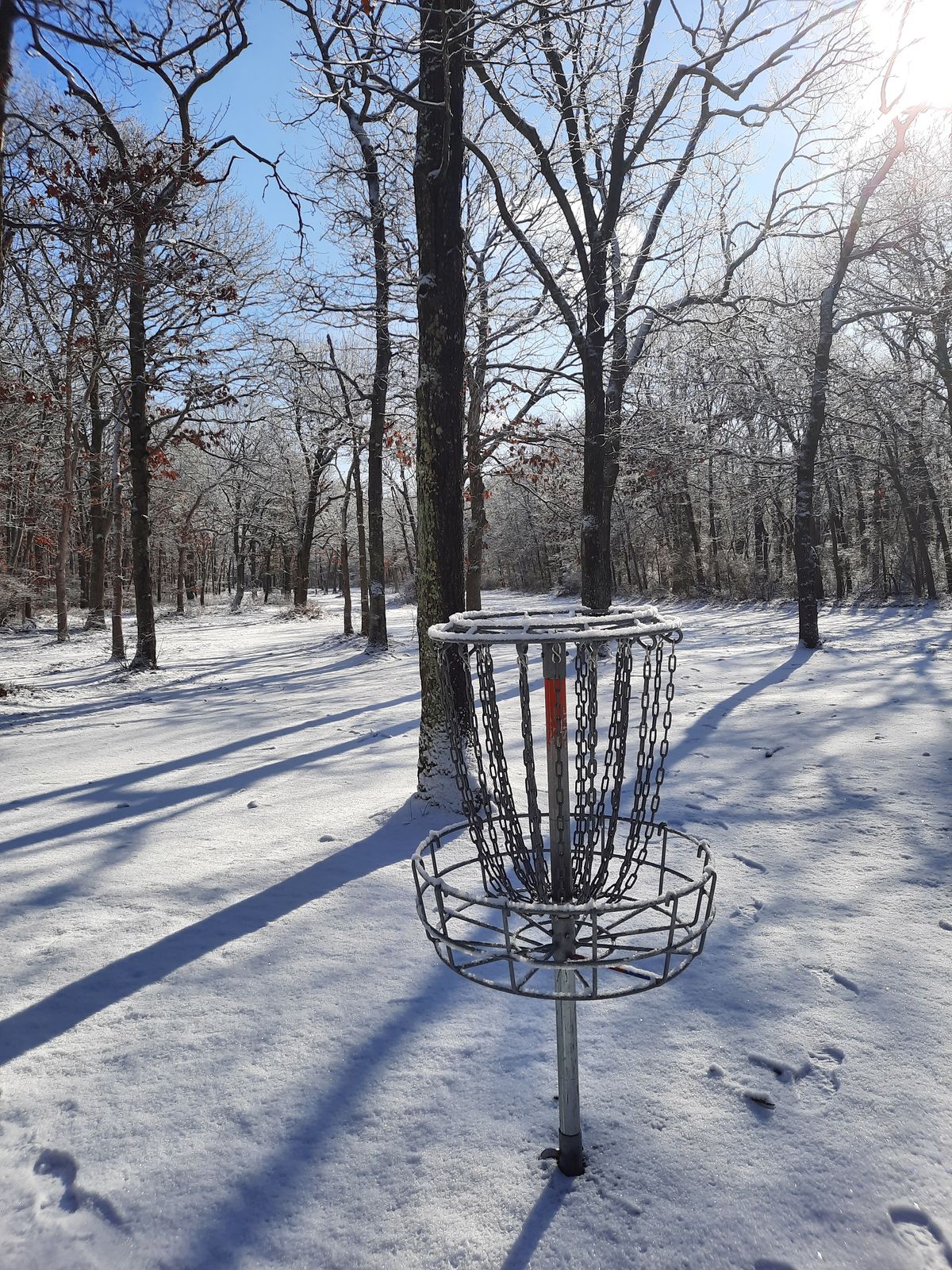 6 basket, looking back