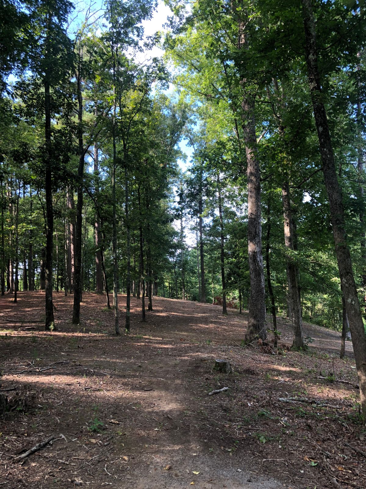 Hole 13