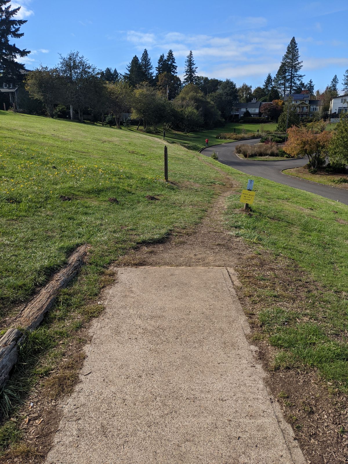 Hole 14 tee box