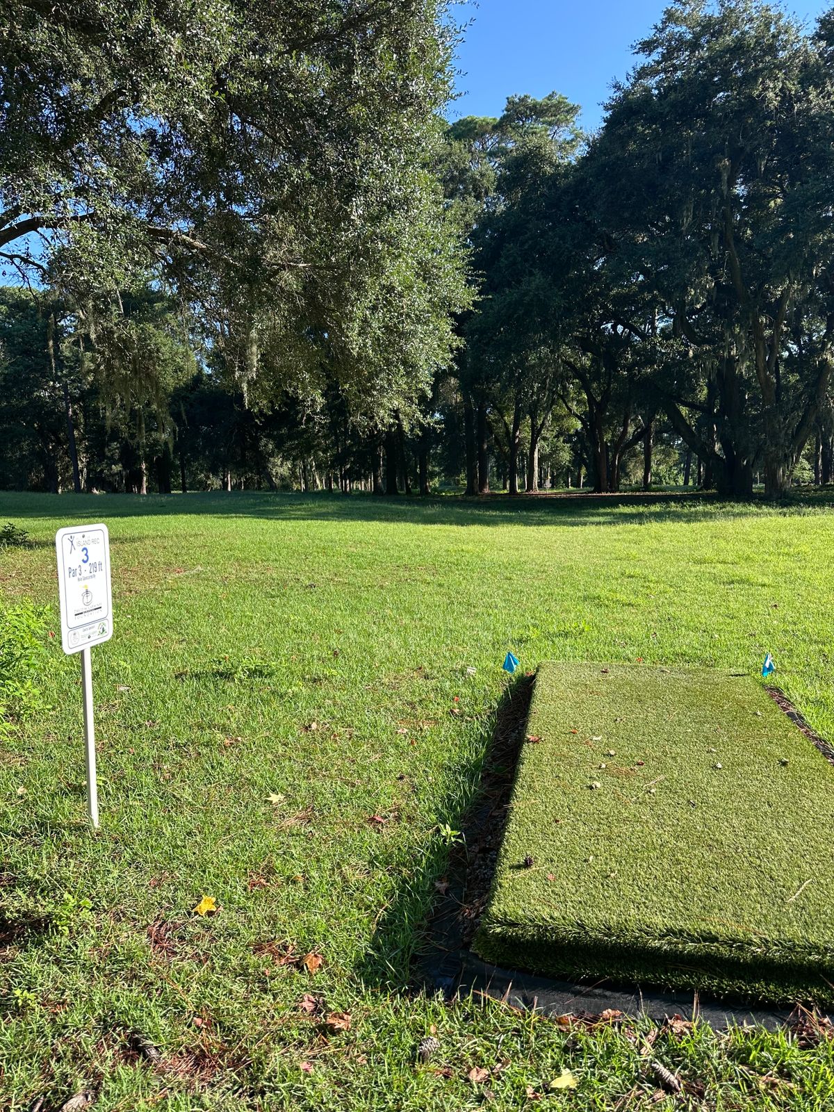 Hole #3