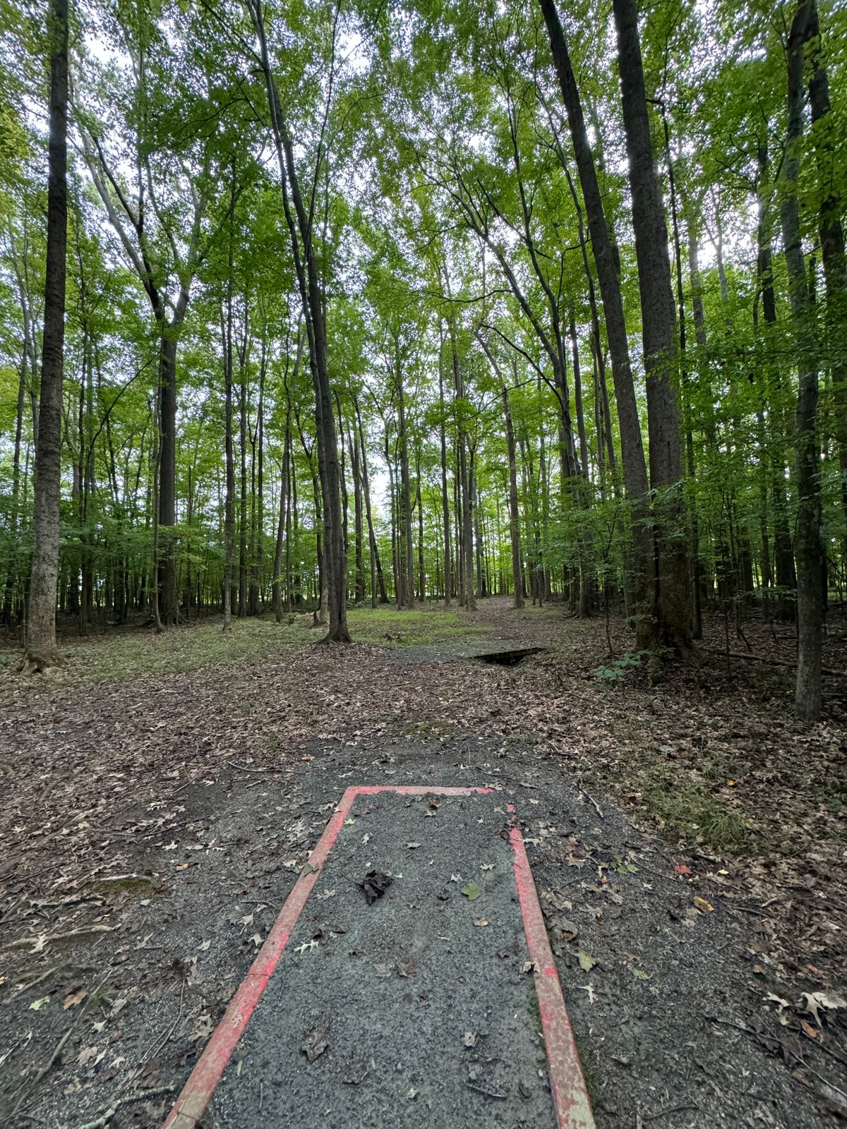 Great tee boxes & tee box directions