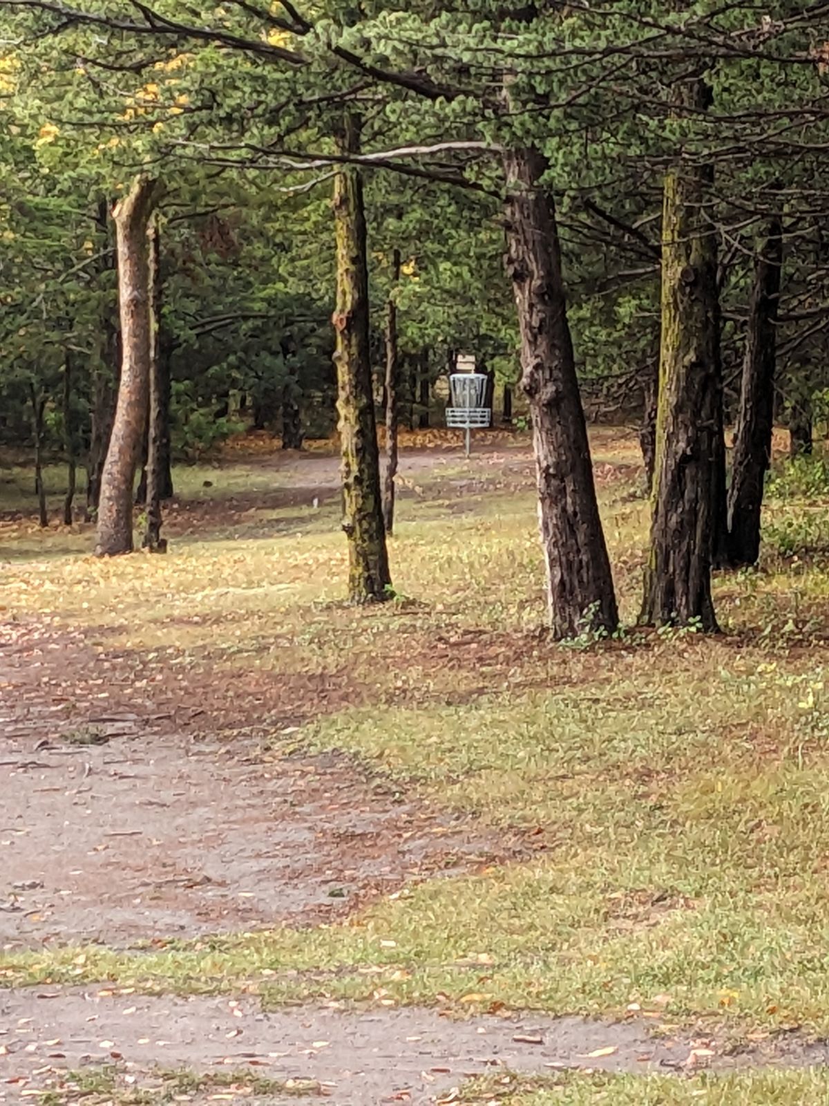 Hole 3