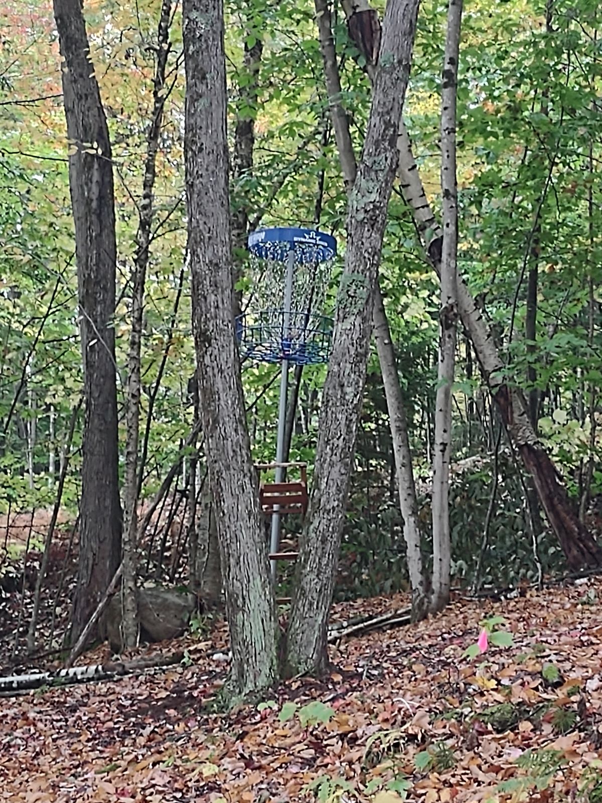 Hole 10 elevated basket