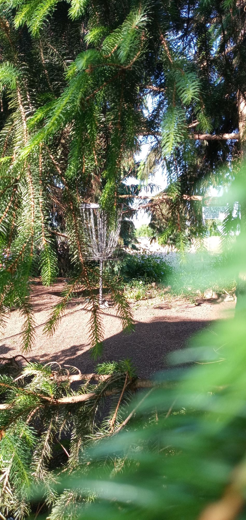 Hole 7