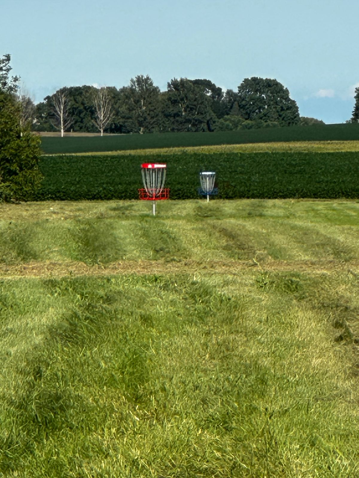 Hole 11 pin red