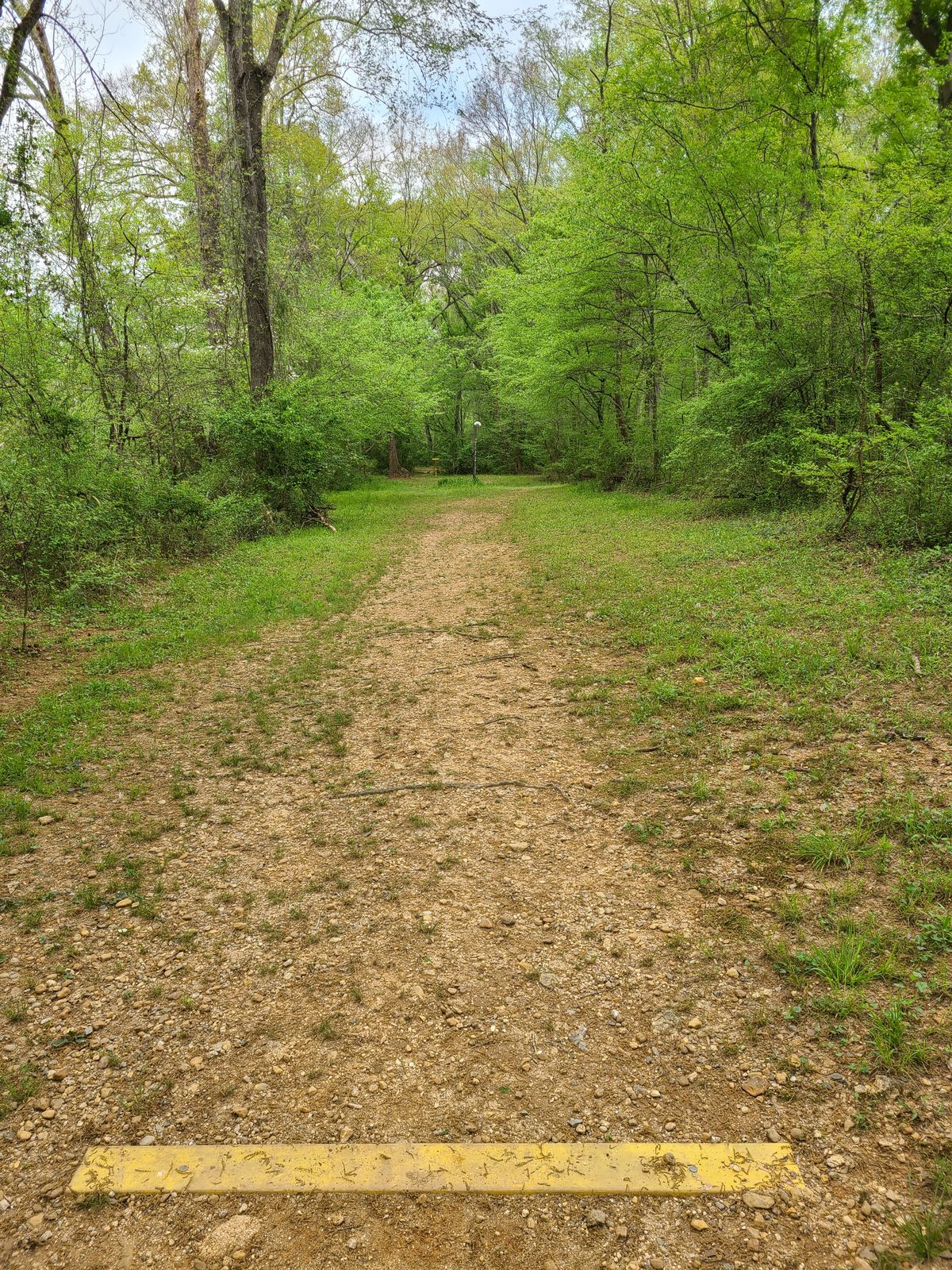 Hole 14 from tee