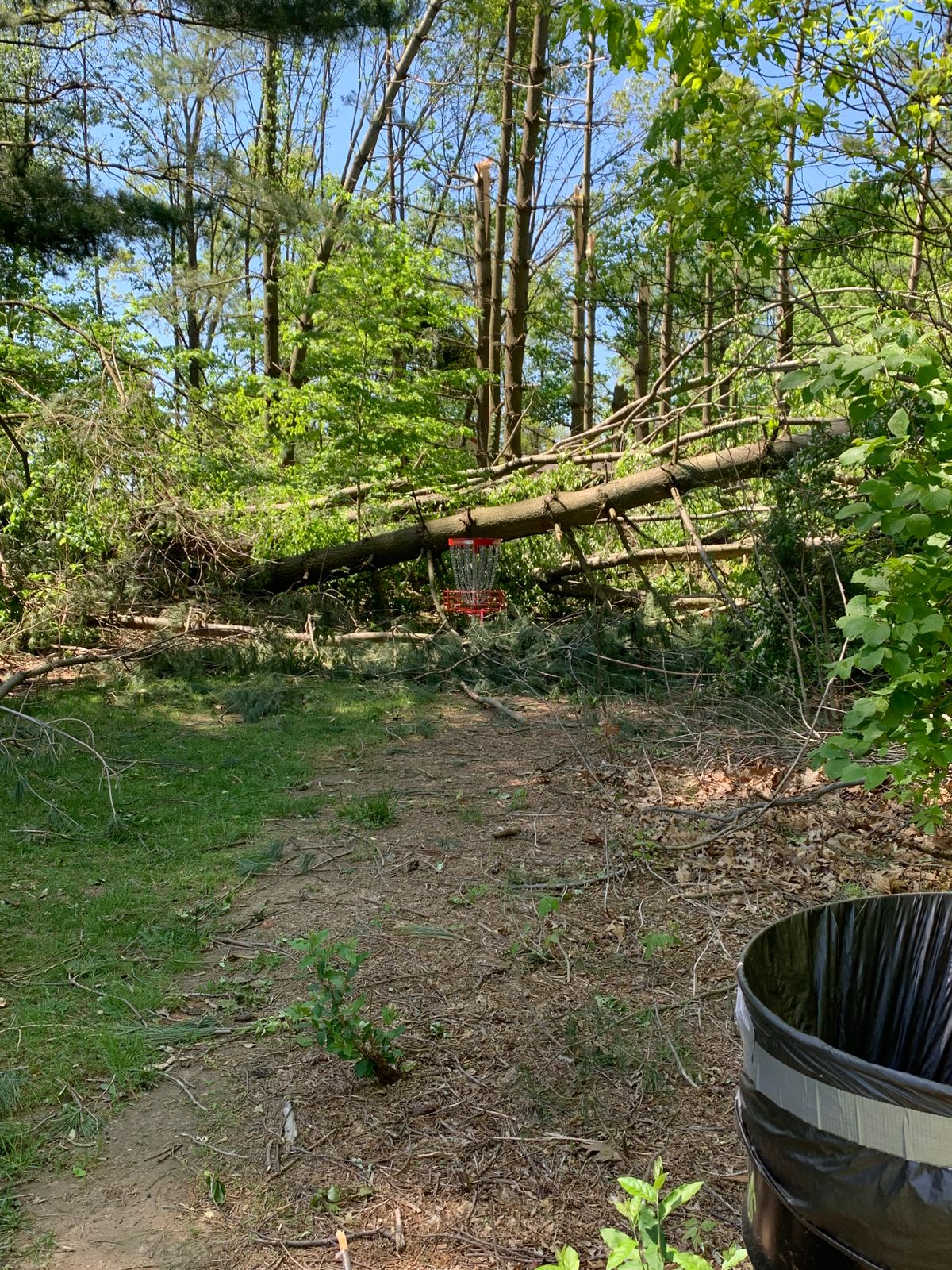 Messed up hole 8 green