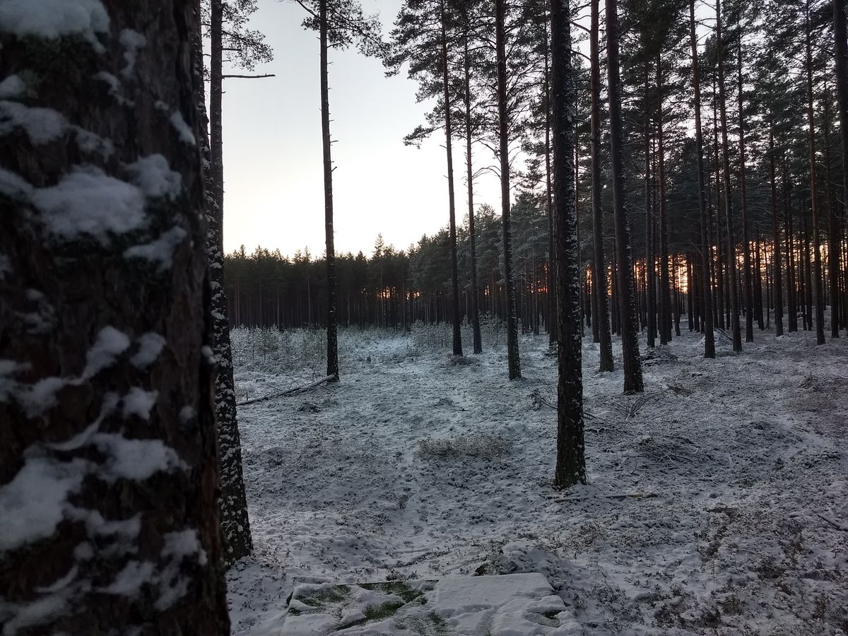 Hål 7