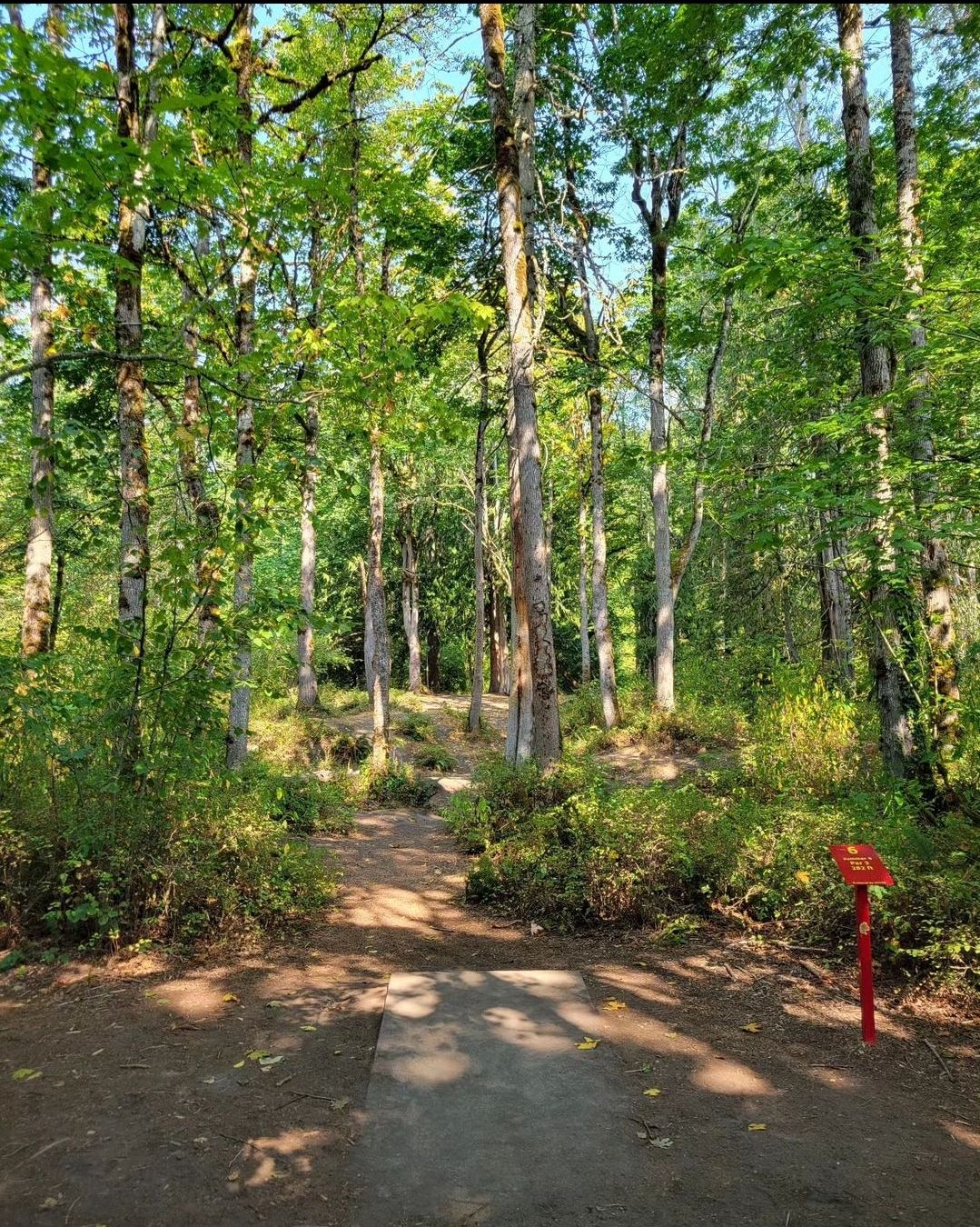 Hole 6