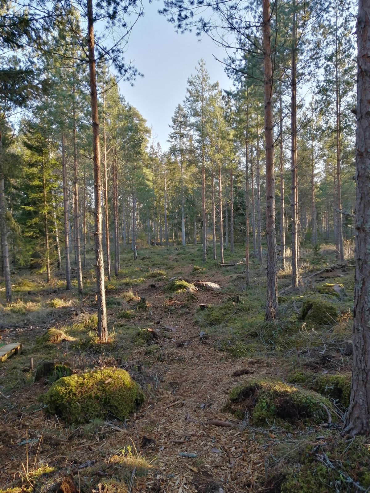 13. Väylä