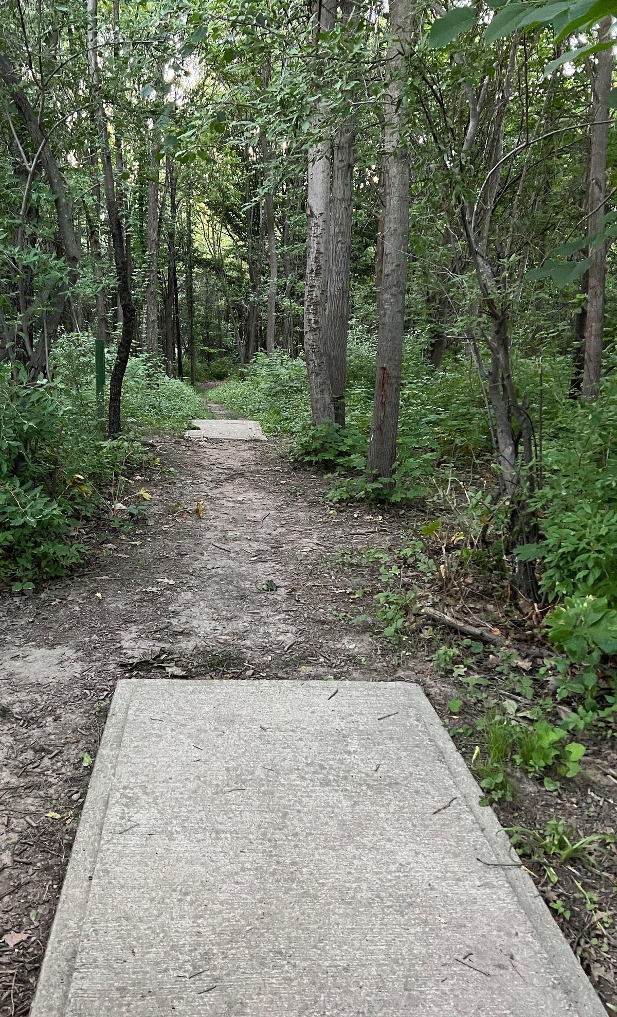 Hole 5