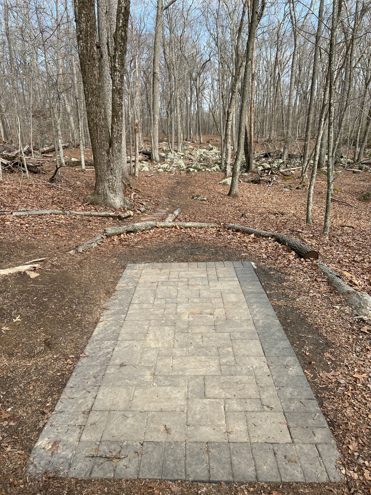 Tee Box #11