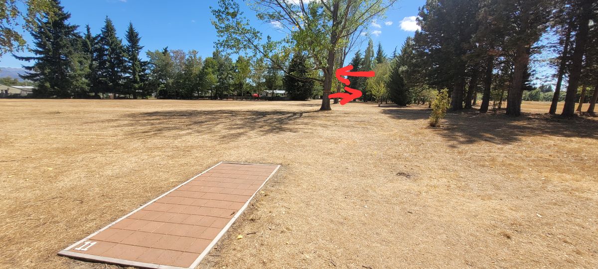 Hole 11 has Mando right 1st tree then left next tree - be careful:)