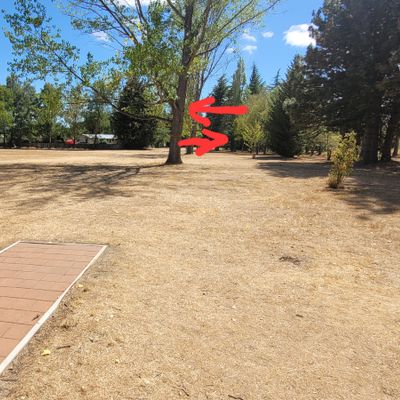 Hole 11 has Mando right 1st tree then left next tree - be careful:)