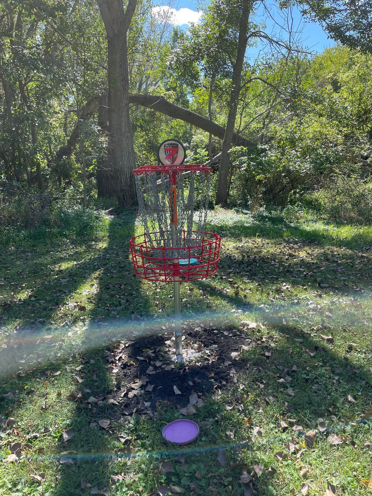 Hole 7 basket