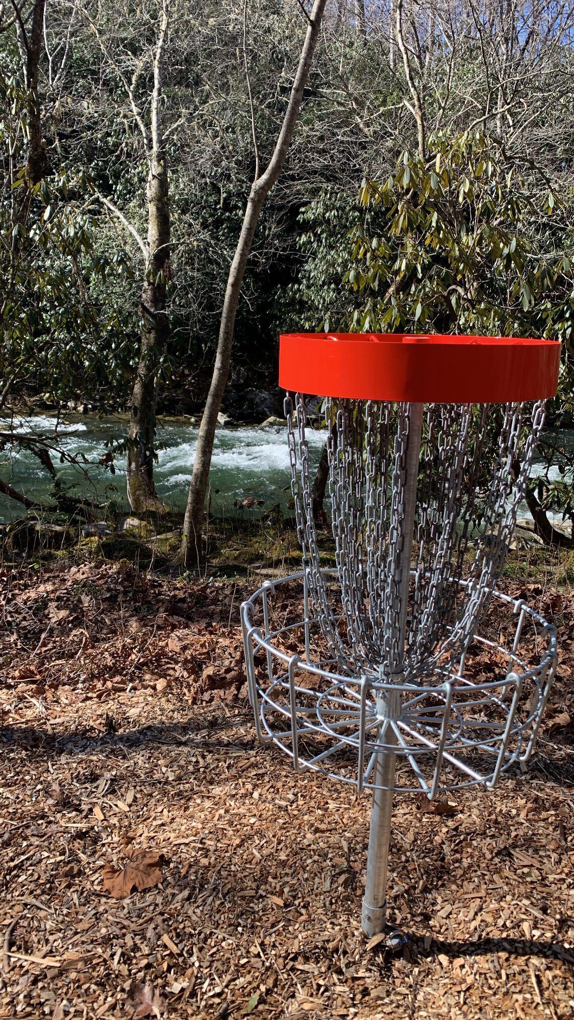 Hole 18 short basket