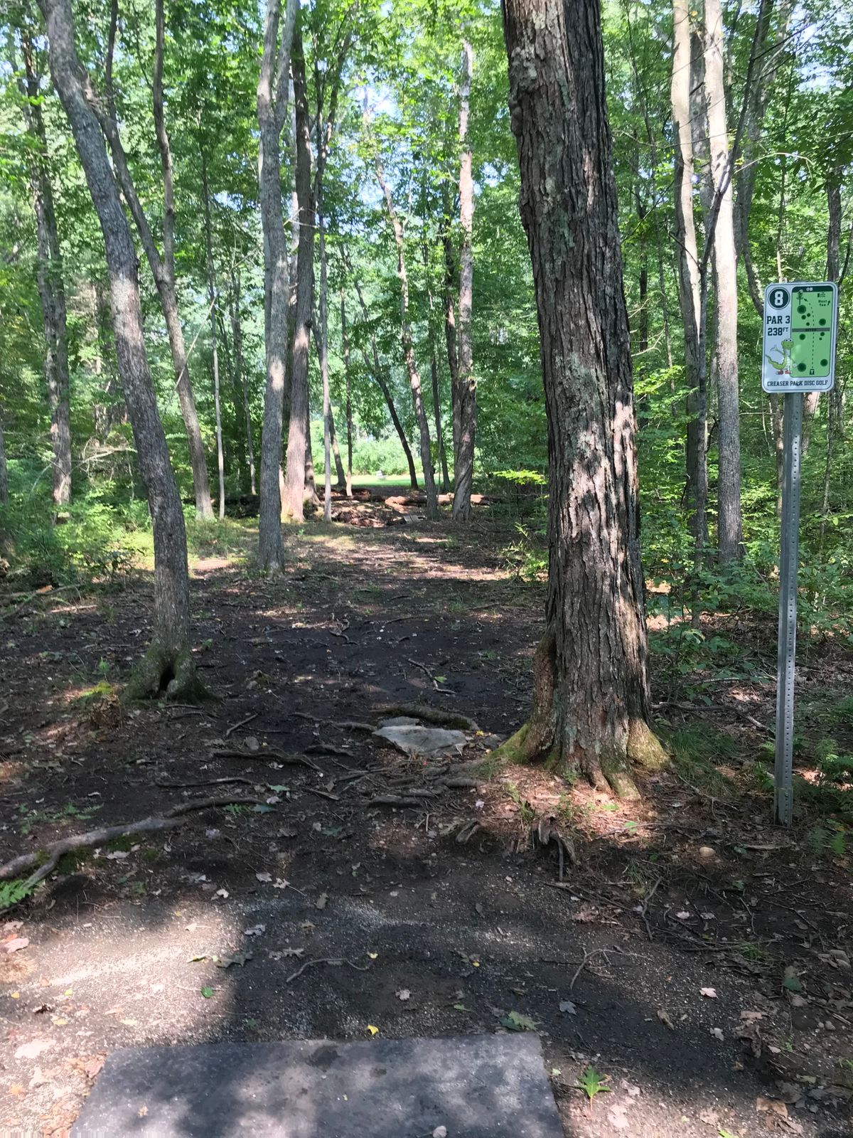 Hole #8
