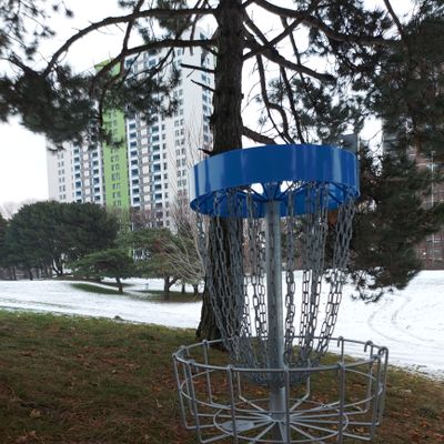 Putting on hole #1 🌲🌲🌲🌲