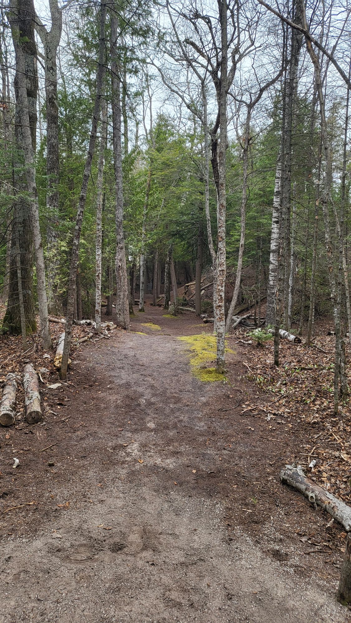 Hole 4, nice tunnel