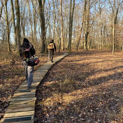The walk to 17 basket