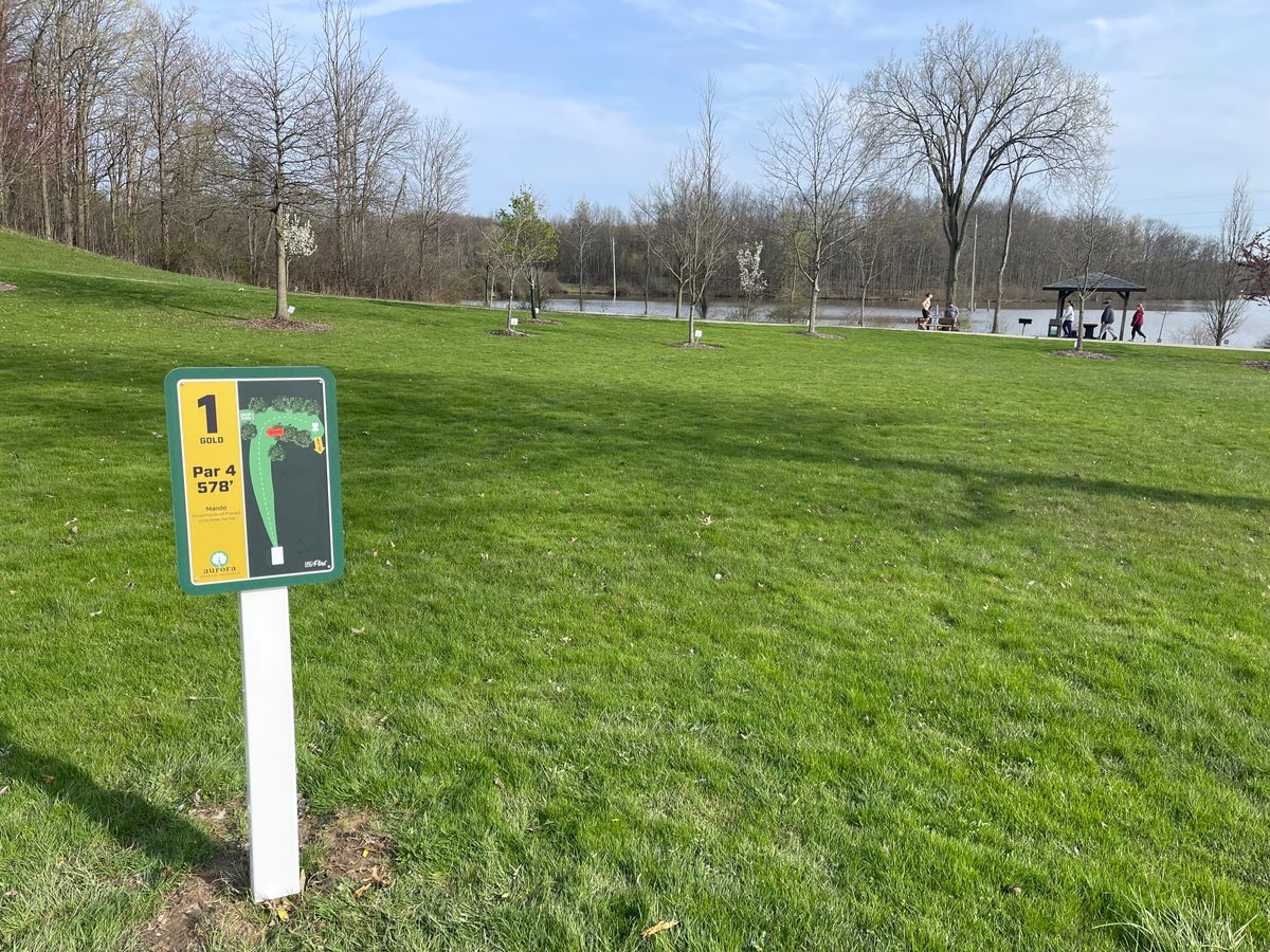New gold 1 tee sign