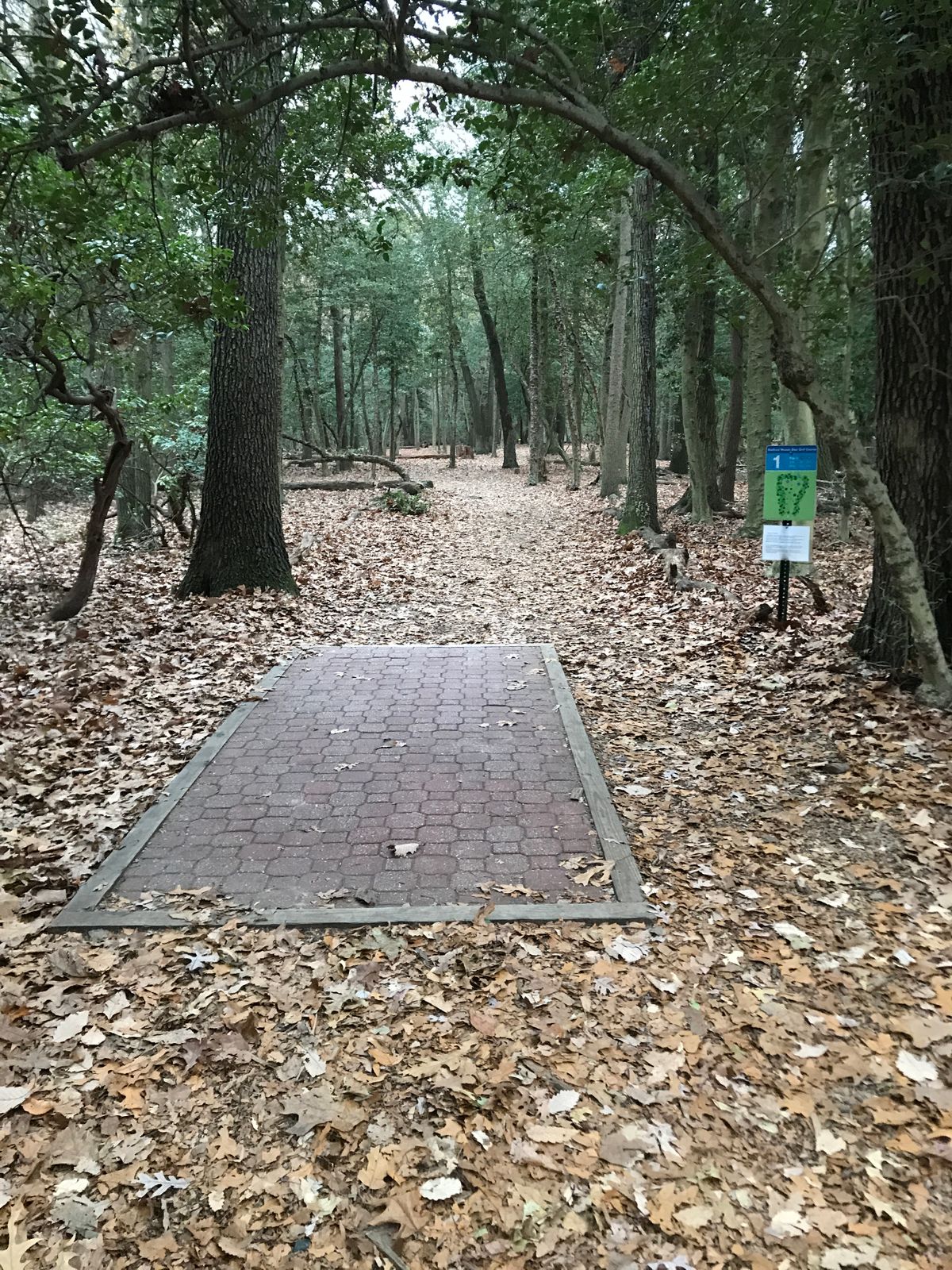 Hole 1 long tee