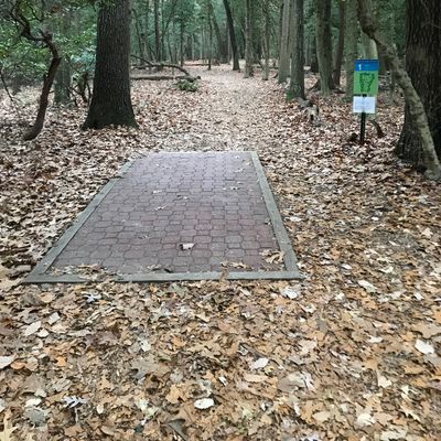 Hole 1 long tee