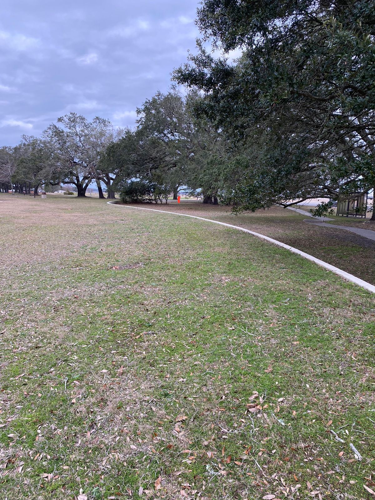 Notice bus stop in right of picture. Red line is location of basket.