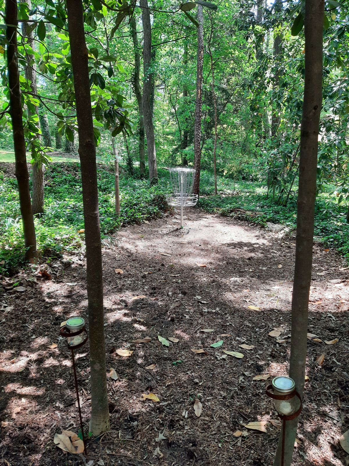 Hole 5 Green
